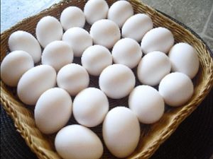 Organic Eggs in Basket